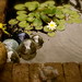 Gregory May Photo 22