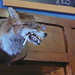 Kimberly Jeffers Photo 21