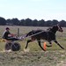 Howard Trotter Photo 15
