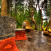 John Mcmillin Photo 17