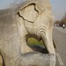 Way Chang Photo 19