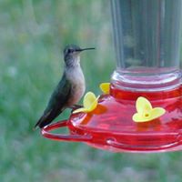 Terri Hooper Photo 22
