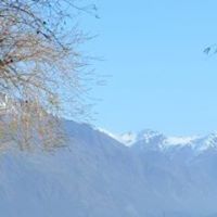 Dianne Franks Photo 8