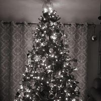 Renee Frey Photo 20