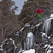 Kevin Meadows Photo 24