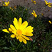 Jonathan Alvarez Photo 29