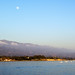 Barbara Moon Photo 7
