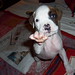 Angie White Photo 24