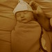 Debbie Landers Photo 19