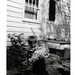 Ken Dennis Photo 12
