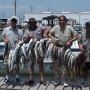 Larry Kitchens Photo 29
