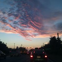 Gordon Thompson Photo 23