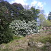 Gerald Lord Photo 14