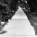 Kenneth Peek Photo 11
