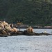 Yun Lei Photo 9