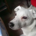 Cindy Best Photo 6