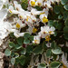 Mary Mohn Photo 12