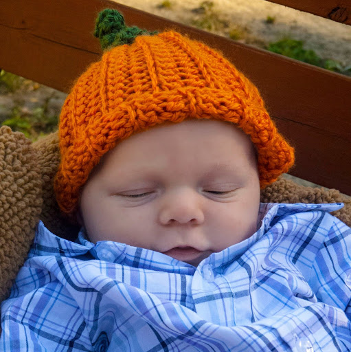 Julie Elston Photo 4