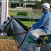 Neil Howard Photo 16