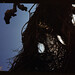 Joseph Dougherty Photo 45