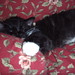 Betty Haynes Photo 29