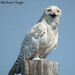 Michael Topp Photo 25