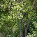 Sandra Platt Photo 29