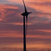 Dawn Wold Photo 5