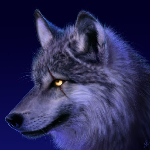 Carlos Wolf Photo 17