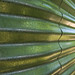 Jane Rainwater Photo 6