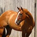 Sandy Smart Photo 33
