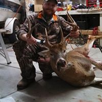 David Stires Photo 12