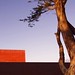 Paula House Photo 15