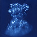 Roger Newton Photo 9