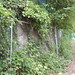Crystal North Photo 29
