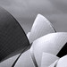 Elizabeth Dawes Photo 20