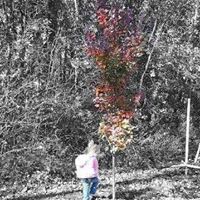 Janet Howland Photo 9
