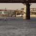 Mark Mccarty Photo 8