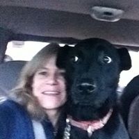Colleen Harding Photo 20