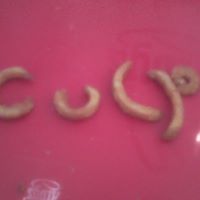 Raymond Culp Photo 3