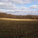 Elizabeth Garber Photo 16