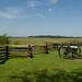 Curtis Dorn Photo 9