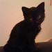 Donna Milton Photo 15