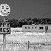 Happy Acres Photo 1