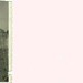 Shirley Haines Photo 12