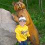Lori Fredrickson Photo 11