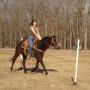 Christina Brady Photo 45