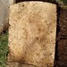 James Hale Photo 42