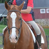 Jane Connors Photo 15