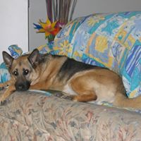 Robyn Johnston Photo 9